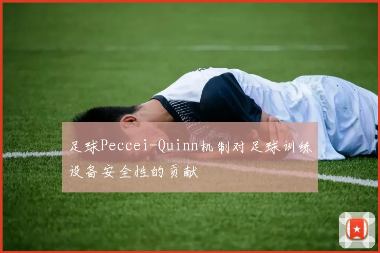 足球Peccei-Quinn机制对足球训练设备安全性的贡献