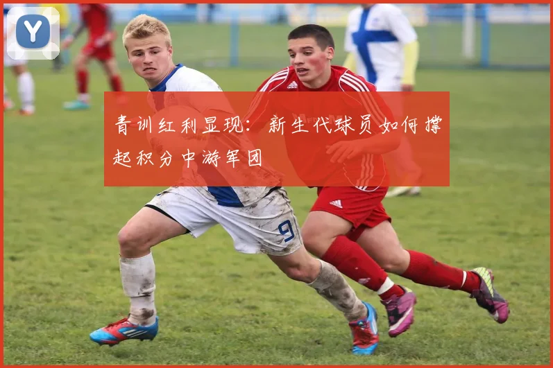 青训红利显现：新生代球员如何撑起积分中游军团