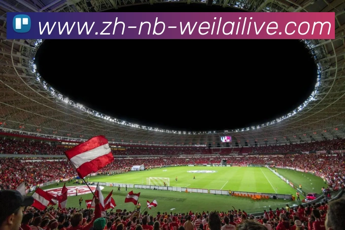 纬来体育服务体系